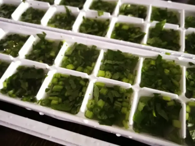 Czy można zamrozić bazylię? Sprawdź skuteczne metody i porady