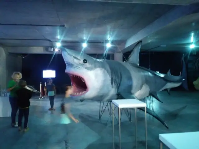 Oceanarium w Międzyzdrojach - atrakcje, godziny otwarcia i ceny biletów