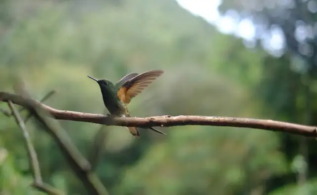 Co to lęk społeczny? Poznaj objawy i skuteczne metody leczenia