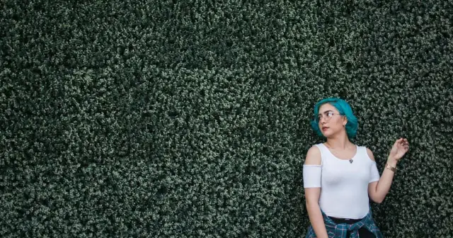 Szybko rosnące rośliny na żywopłot – stwórz gęsty i piękny żywopłot