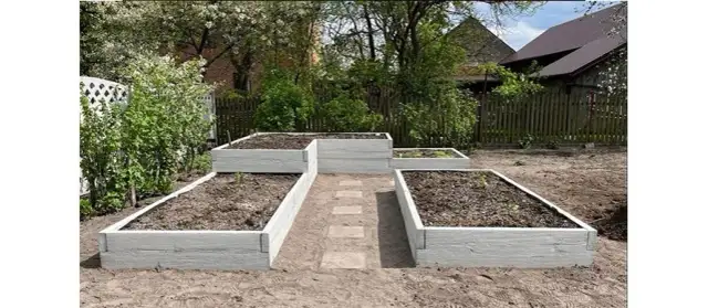 Co siać na 6 klasie ziemi, aby uzyskać obfite plony bez wysiłku