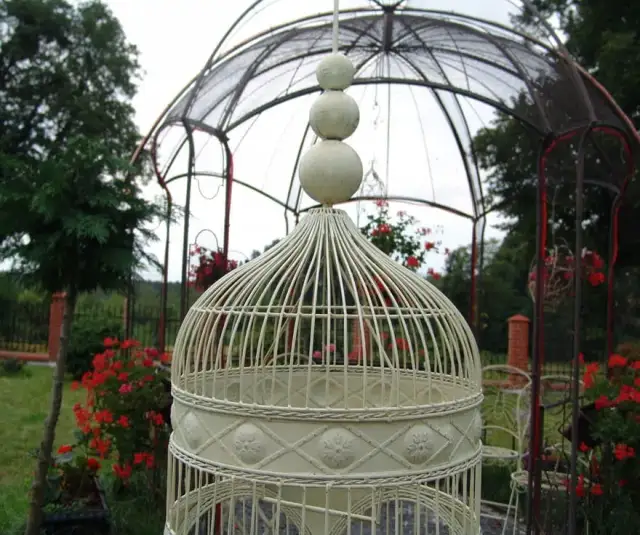 Klatka dla ptaków retro – elegancja i funkcjonalność w jednym