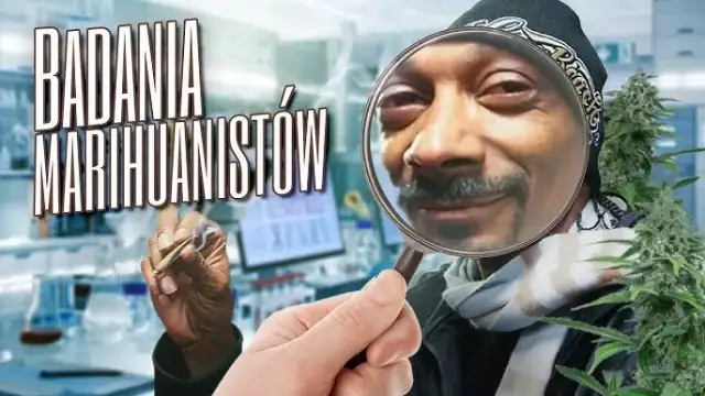 Marihuanę a poco to komu - czy naprawdę jest nam potrzebna?