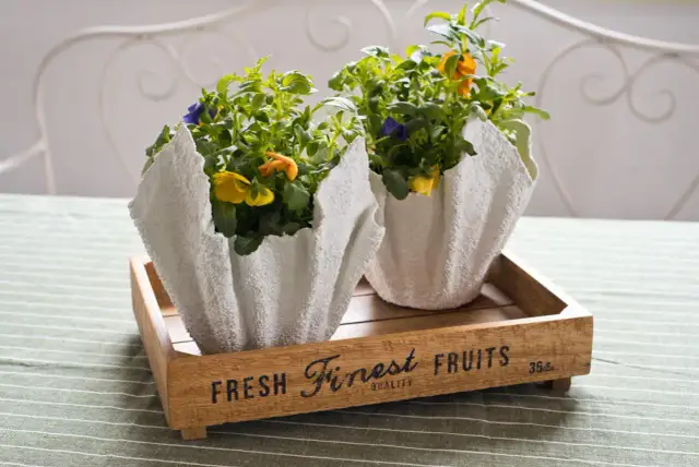 Jak zrobić doniczkę z gipsu? Praktyczny poradnik DIY