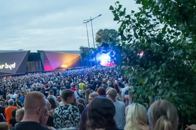 Ile kosztuje bilet na koncert Bedoesa? Ceny biletów i szczegóły koncertów