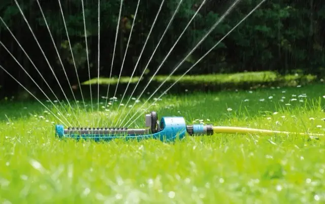 Jak działa zraszacz oscylacyjny? Sekret równomiernego podlewania