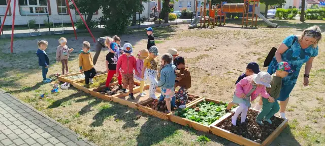Leśna ścieżka sensoryczna: jak wspiera rozwój dzieci w naturze
