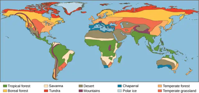 Co kształtuje klimat Afryki? Kluczowe czynniki wpływające na różnorodność