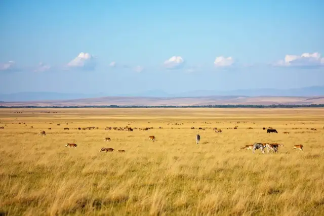Kiedy najlepiej lecieć do Kenii? Przewodnik po porach roku