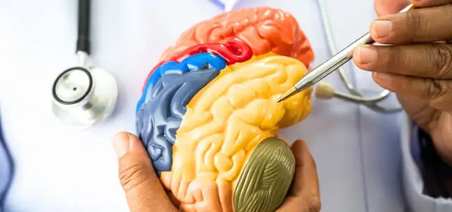 Rehabilitacja neurologiczna: Jak mózg leczy się sam?