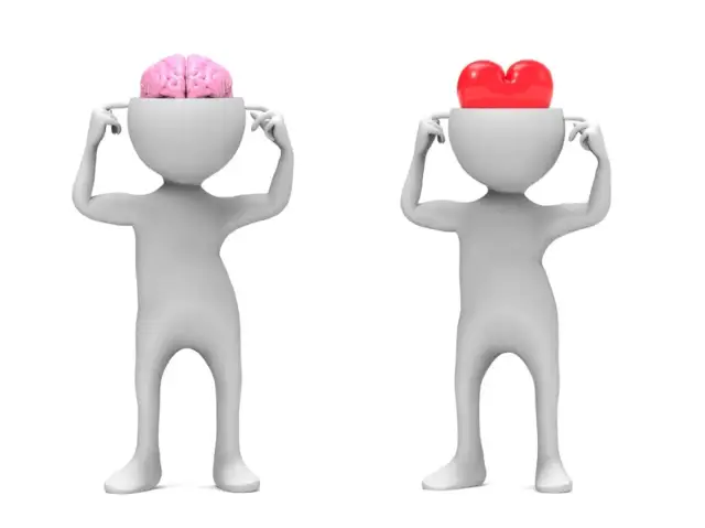 Mózg mężczyzny: Dlaczego reaguje inaczej? Klucz do związku