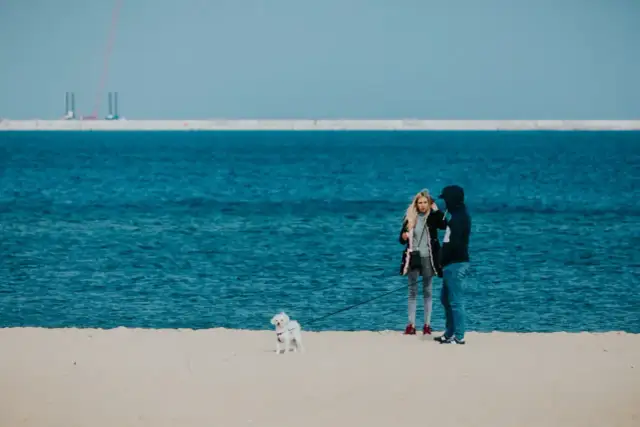 Gdańsk: Z centrum na plażę jak szybko i wygodnie?