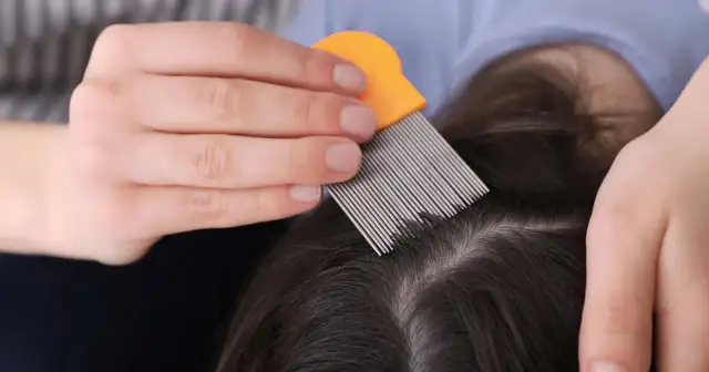 Wszy u dziecka: Jak skutecznie i bezpiecznie pozbyć się problemu?