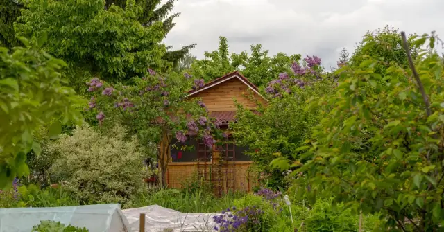 Sprzedaż działki ROD a podatki: PIT i PCC co musisz wiedzieć?