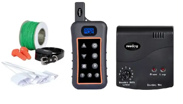 Czy obroża elektryczna jest skuteczna w szkoleniu psów? Oto prawda