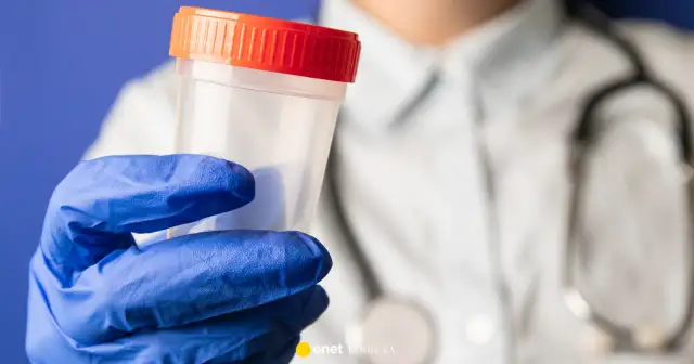 Dawstwo nasienia w Polsce: Ile naprawdę zyskasz? Proces i warunki