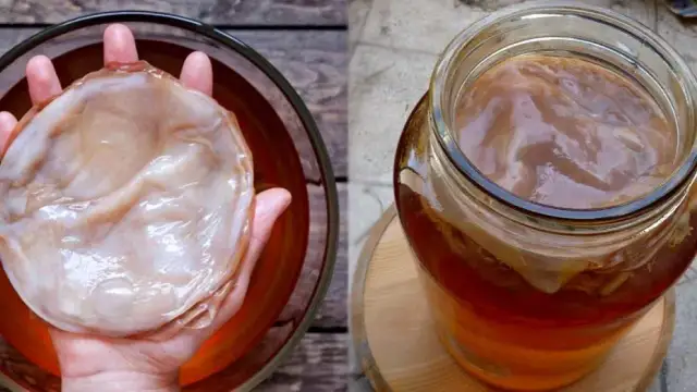 Kombucha - gdzie kupić i jak samodzielnie zrobić zdrowy napój?