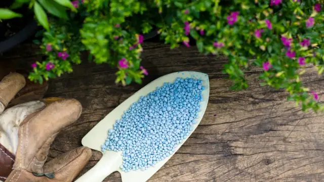 Jakie nawozy na działkę wiosną zapewnią szybki wzrost roślin?