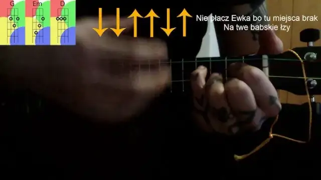 Chwyty gitarowe do piosenki nie płacz ewka – naucz się grać łatwo