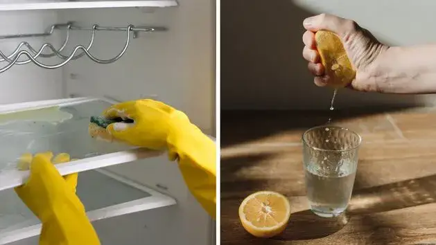 Czysta lodówka: Skuteczne mycie, domowe triki i świeżość