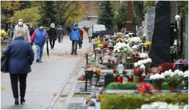 Czy można z psem na cmentarz? Przepisy i zasady w Polsce