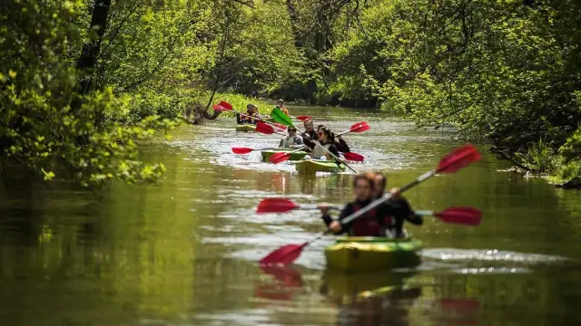 Twój spływ kajakowy Lublin: Trasy, ceny, co zabrać? Kompletny poradnik