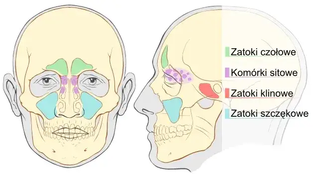 Jak leczyć zatoki u dziecka: skuteczne metody i domowe sposoby