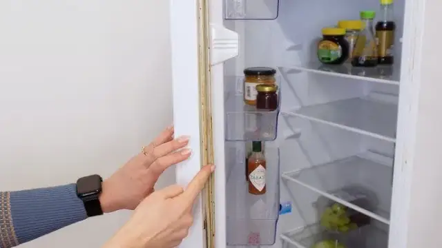 Skuteczne sposoby na to, jak usunąć pleśń z uszczelki lodówki i ją utrzymać czystą