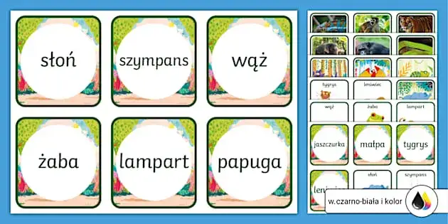 Nauka rozpoznawania programów TV: dopasuj nazwy do opisów