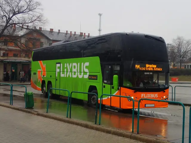 PolskiBus z psem? (Teraz FlixBus) Czy Twój pupil może jechać?