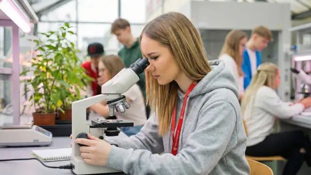 Technik ochrony środowiska: Praca, edukacja, zarobki i przyszłość