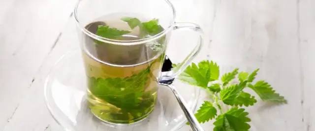 Detoks ziołami: Jakie herbaty oczyszczą organizm bezpiecznie?