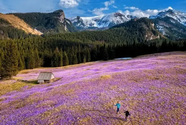 Najlepsze trasy i szlaki rowerowe w okolicy Doliny Kościeliskiej 2024