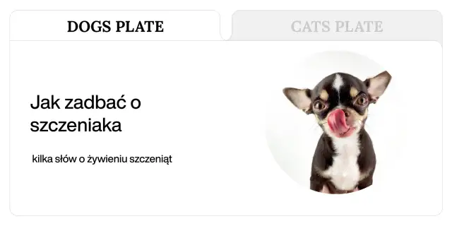 Co je szczeniak - Kompletny poradnik żywienia młodego psa
