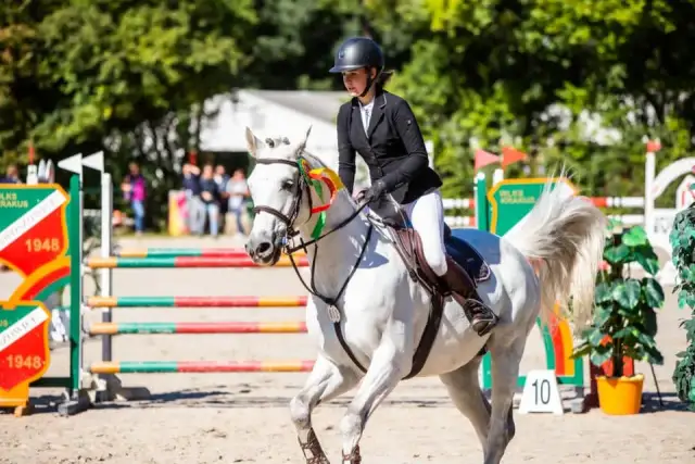 Stadnina w Swoszowicach: historia, treningi i nadchodzące zawody