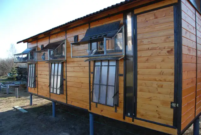 Budowa gołębnika: Ile wydasz? Szczegółowy kosztorys od A do Z