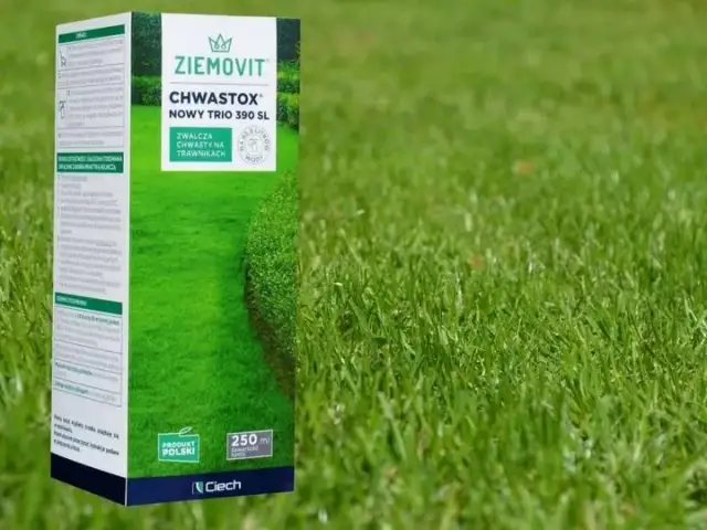 Skuteczne zwalczanie chwastów w trawniku z Chwastox Trio 390 SL