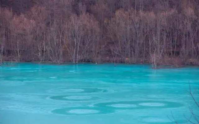 Rezerwat przyrody Niebieskie Źródła – informacje, które musisz znać