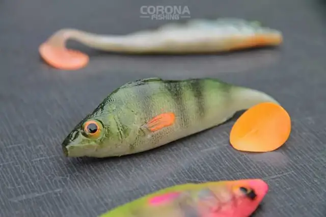 Gumy spinningowe: Jak wybrać, zbroić i łowić szczupaki, sandacze, okonie?