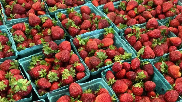 Mnóstwo soczystych truskawek w niebieskich łubiankach. To idealny czas na sezon truskawkowy, pełen słodkich owoców.