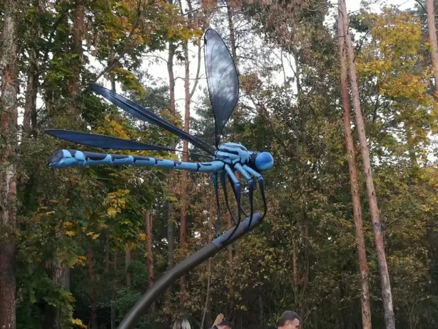 Pomiechówek atrakcje: najciekawsze miejsca, które musisz zobaczyć