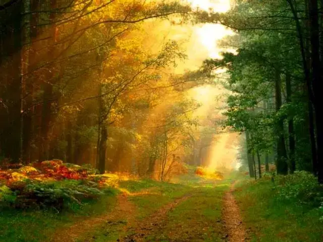 Akordy do twoja miłość jak ciepły deszcz – zagraj łatwo i pięknie