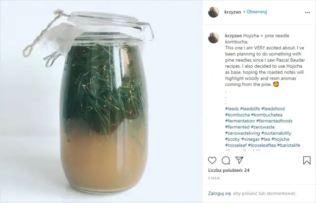 Kombucha: Jak hodować w domu? Kompletny przewodnik bez błędów