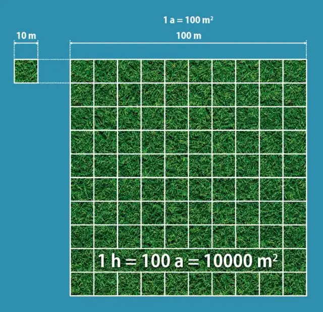 Działka 1000m2 ile to metrów? Sprawdź, ile to w arach i hektarach