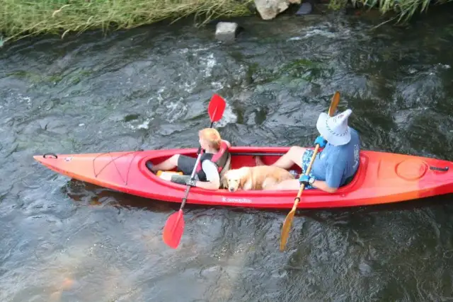 Kajakiem z psem: Kompletny przewodnik i lista rzeczy do spakowania