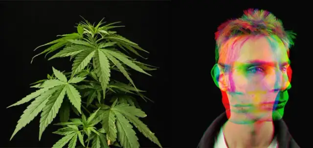 Uzależnienie od marihuany: co dzieje się w głowie? Zrozum psychikę