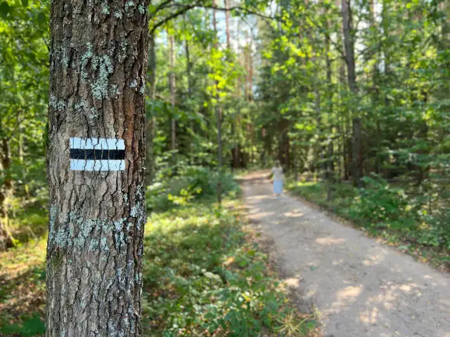 Granica czy Białowieża? Przewodnik po skansenach puszczańskich