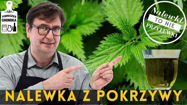 Jak zrobić nalewkę z pokrzywy – prosty przepis na zdrowy napój