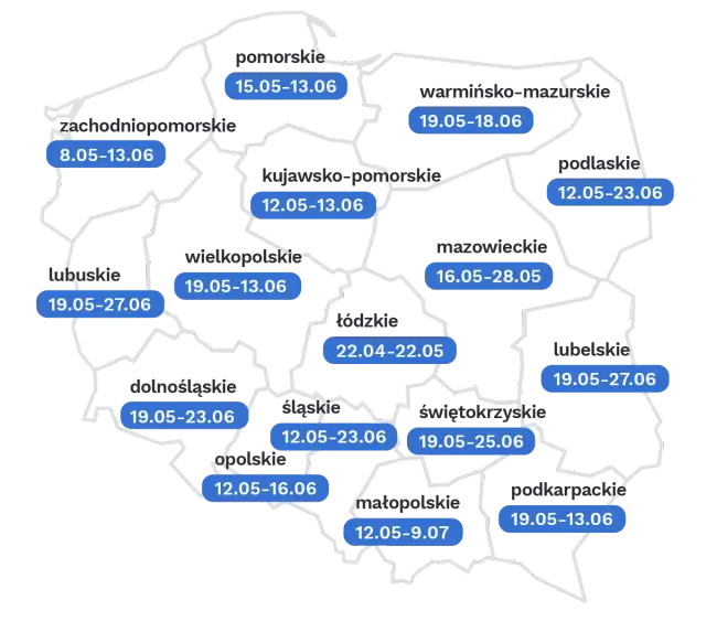Wyniki rekrutacji do szkół: Dokładne daty, godziny i instrukcje