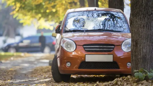 Jak przerejestrować ciągnik po śmierci właściciela? Krok po kroku